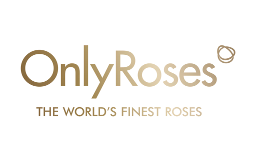 OnlyRoses