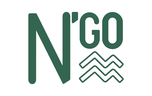 N'Go Shoes