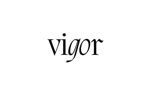 Vigor Sports and Training Studio