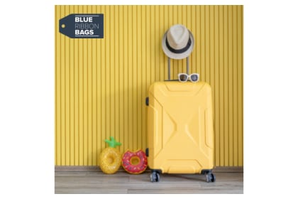 Blue Ribbon Bags Product Voucher SGD