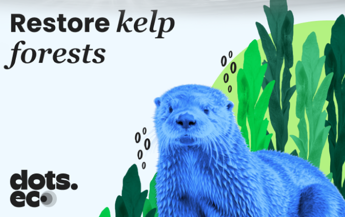 Dots.eco - Restore Kelp Forests