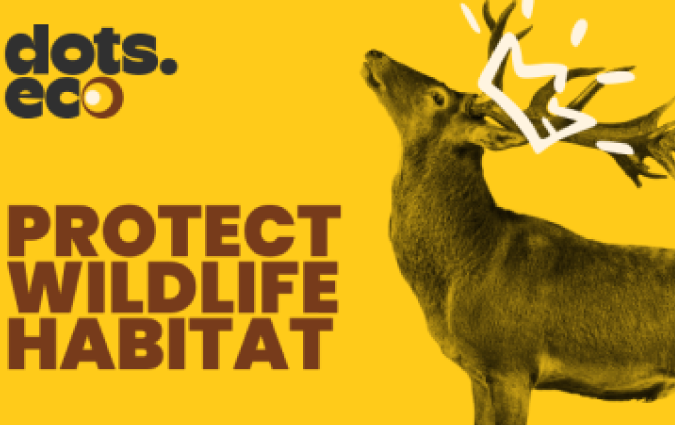 LAND FÜR WILDTIERE SCHÜTZEN DE