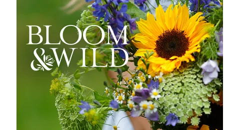 Bloom & Wild IE