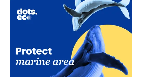 PROTECT OF MARINE AREA UK